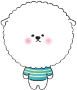 Bichon