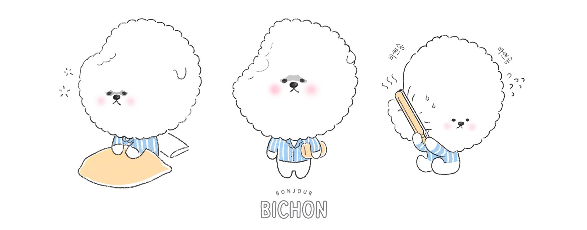 Bichon