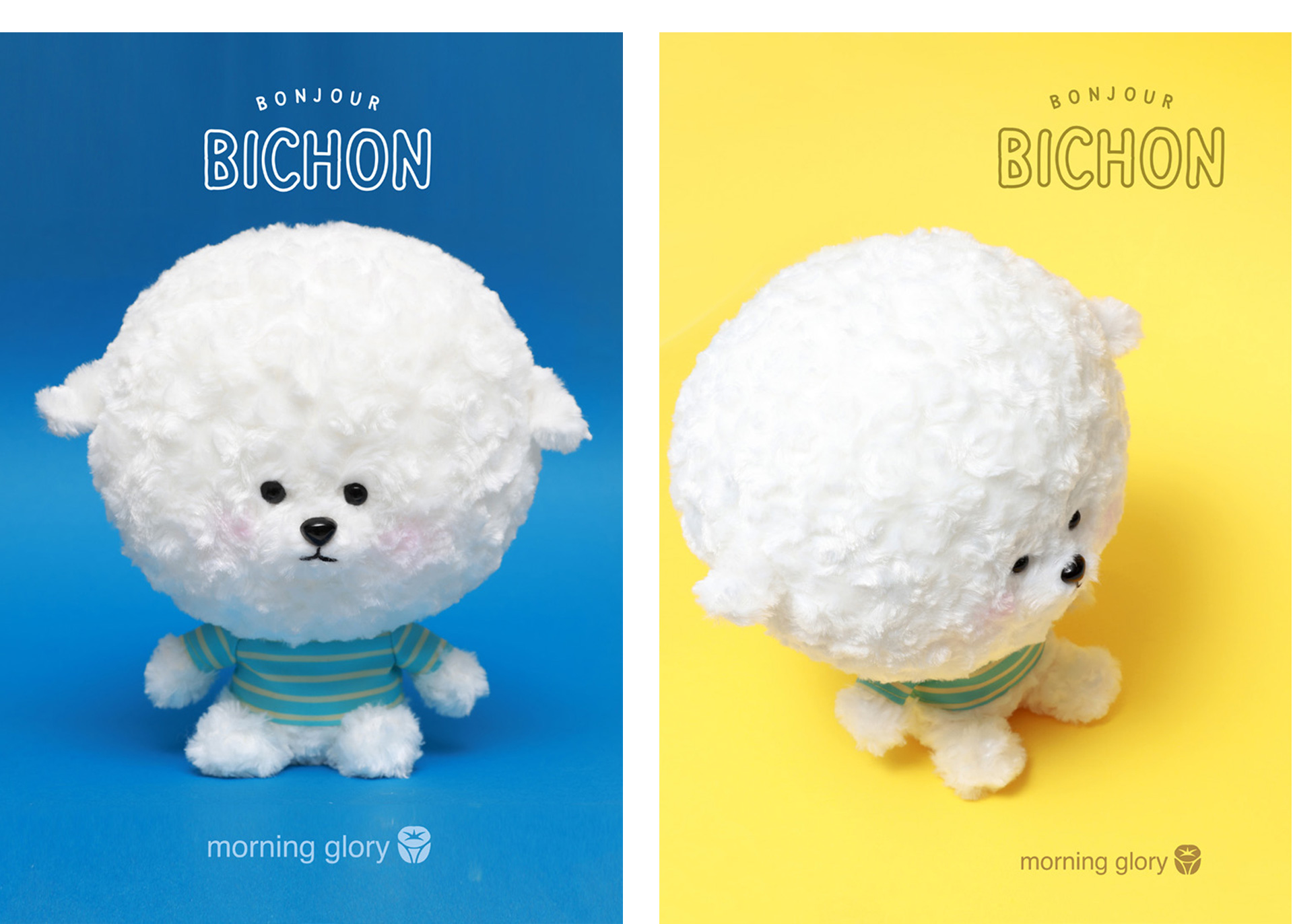 Bichon